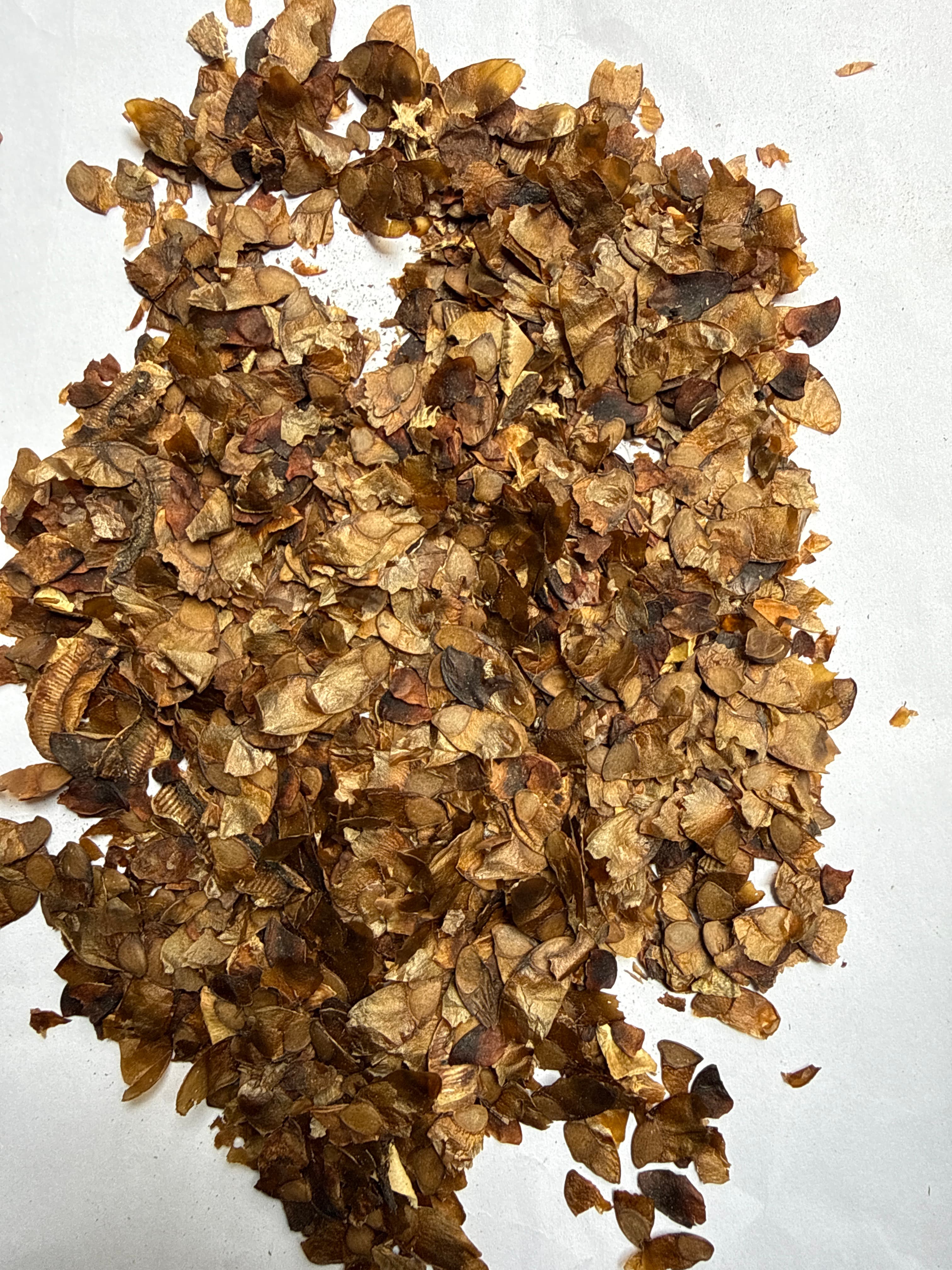 Chakresiya (Chittagong Wood)